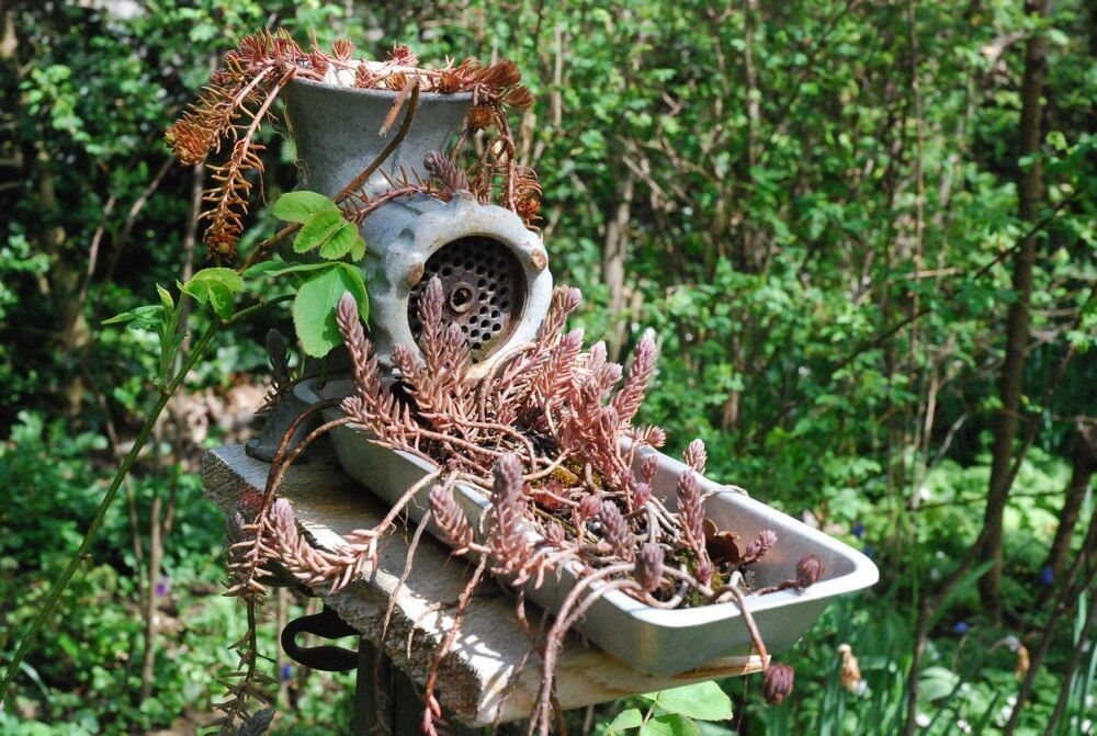 Pflanzentauschtag und offener Frühlingsgarten in Mössingen. Fotos: Angela Steidle