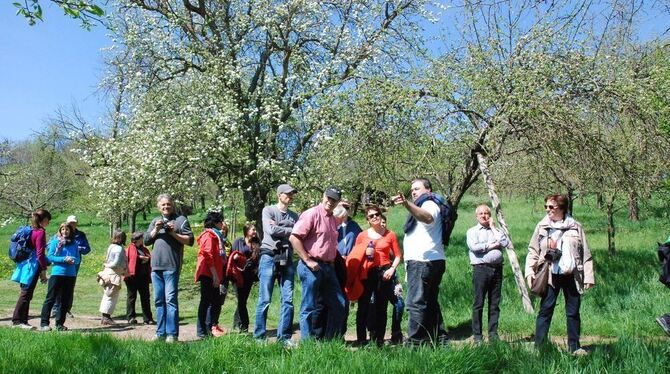Nach dem Regen in der vergangenen Woche stehen viele Obstbäume auf Wankheimer Wiesen jetzt in voller Blüte. FOTO: STEIDLE Nach dem Regen in der vergangenen Woche stehen viele Obstbäume auf Wankheimer Wiesen jetzt in voller Blüte. FOTO: STEIDLE