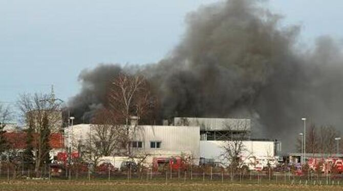 Stinkende Rauchwolken steigen über den Bosch-Werk in Rommelsbach auf. GEA-FOTO: ZENKE