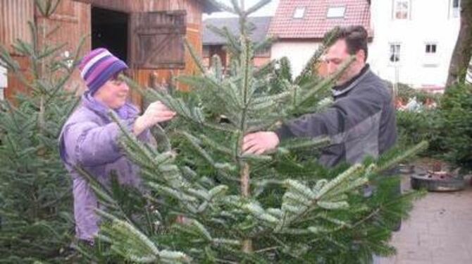 Nicht nur die Größe, auch die schöne Spitze bestimmt den Preis eines Christbaums, erklärt Inge Heinzmann einem Kunden auf ihrem