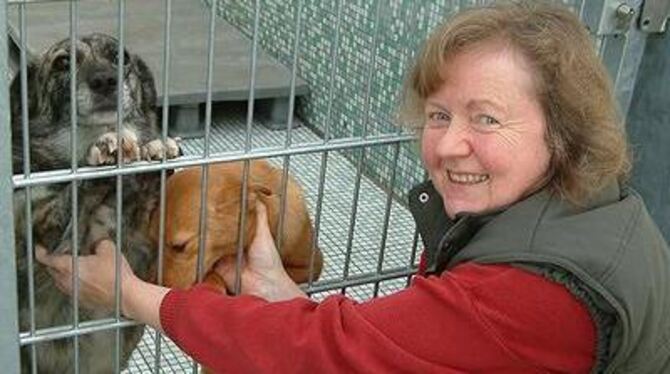 Tierheimleiterin Petra Zipp mit den Mischlingshunden Gabi (links, acht Jahre) und Brest (drei Jahre), die aus einem Tierheim in