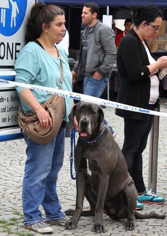 18. Stadtlauf Bad Urach