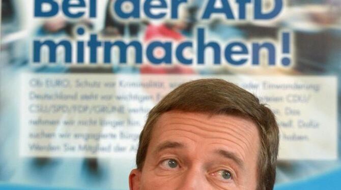 Bernd Lucke schmiedet angeblich Pläne für die Gründung einer neuen Partei. Foto: Rainer Jensen/Archiv