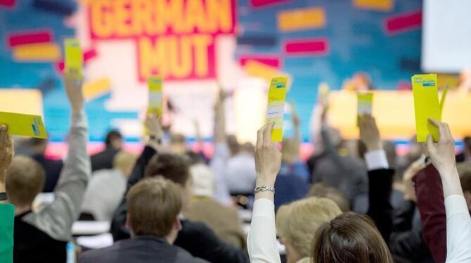 Delegierte des FDP-Bundesparteitags in Berlin bei einer Abstimmung. Foto: Bernd von Jutrczenka