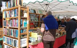 Bücherfest Tübingen 2015