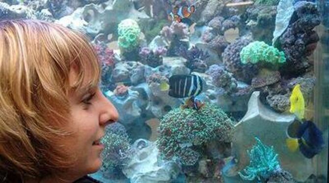 GEA-Praktikantin Katrin Ehmann vor dem Aquarium mit Meeresfischen. GEA-FOTO: MEYER