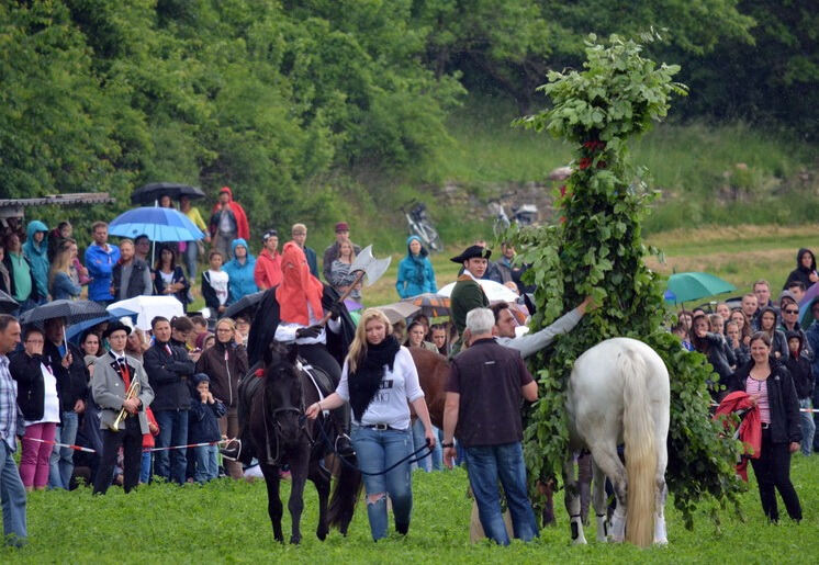 Pfingstritt Wurmlingen 2015
