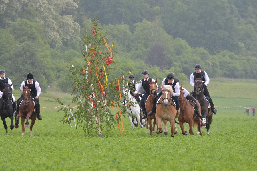 Pfingstritt Wurmlingen 2015