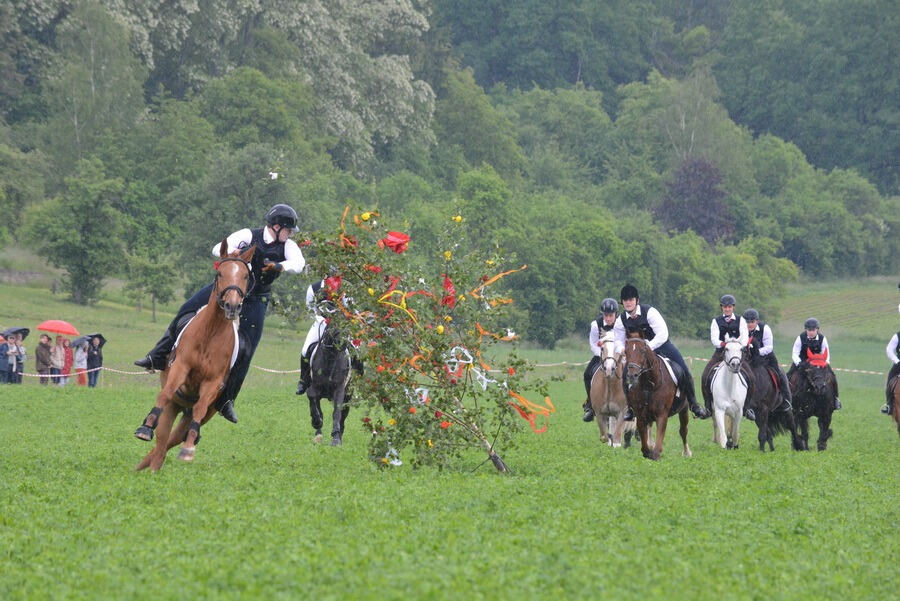 Pfingstritt Wurmlingen 2015