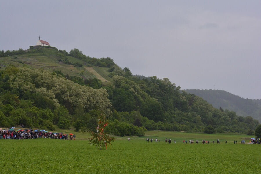 Pfingstritt Wurmlingen 2015