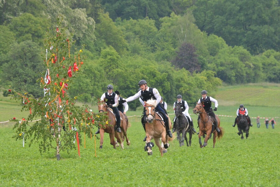 Pfingstritt Wurmlingen 2015