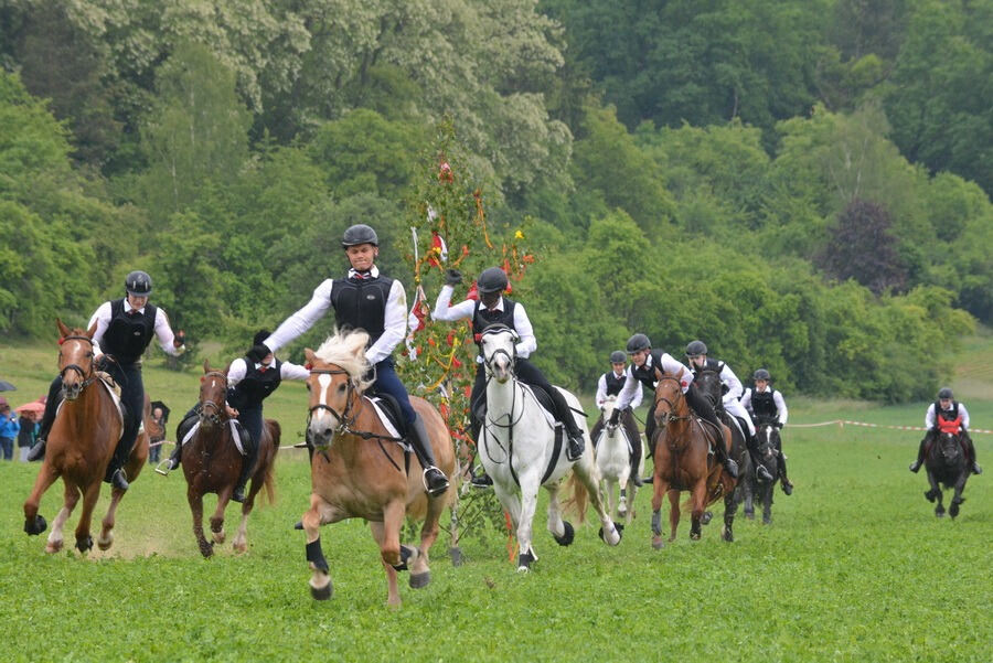 Pfingstritt Wurmlingen 2015