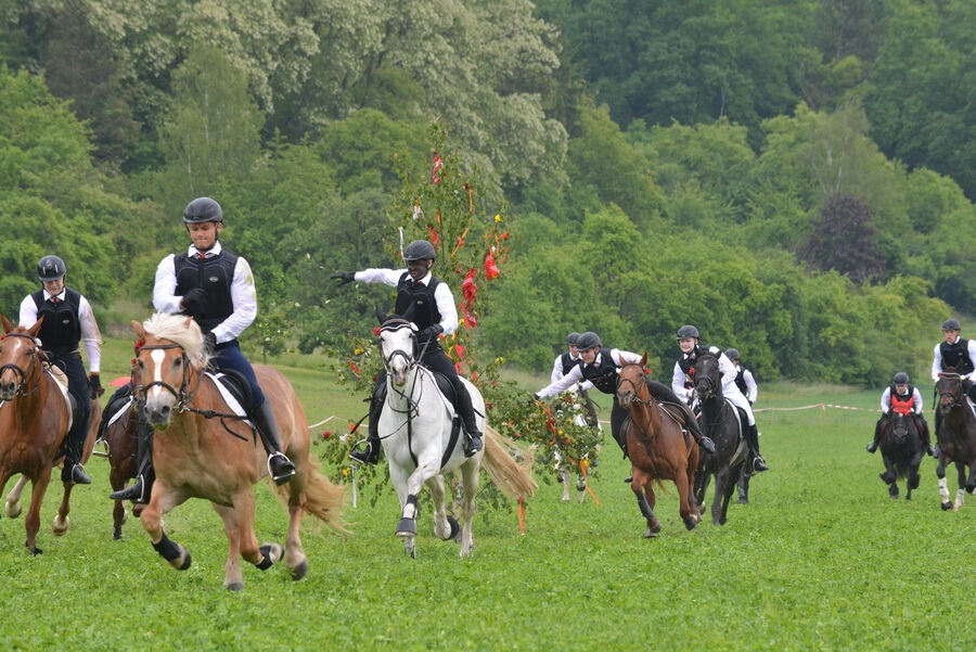 Pfingstritt Wurmlingen 2015