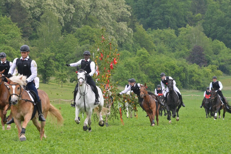 Pfingstritt Wurmlingen 2015