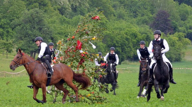 Pfingstritt Wurmlingen 2015 Pfingstritt Wurmlingen 2015