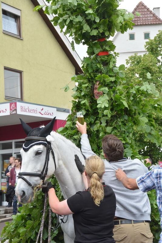 Pfingstritt Wurmlingen 2015