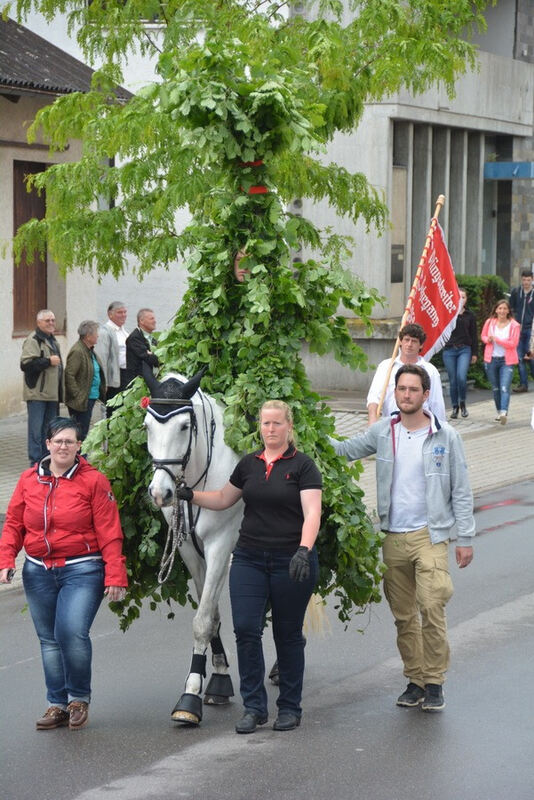 Pfingstritt Wurmlingen 2015