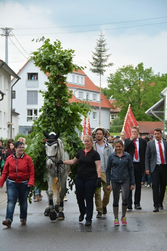 Pfingstritt Wurmlingen 2015