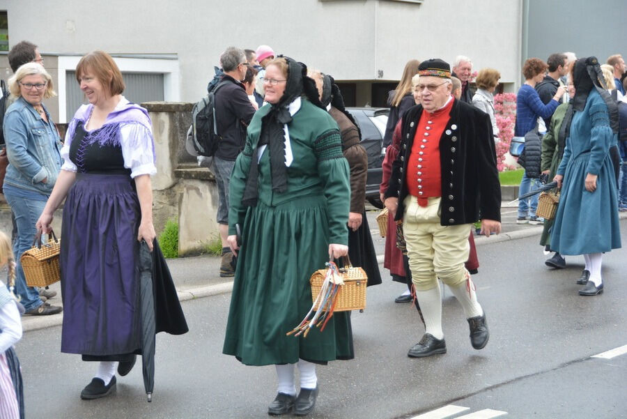 Pfingstritt Wurmlingen 2015