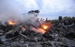 MH17-Trümmer: Nach einem Bericht der investigativen Plattform Bellingcat sind die Satellitenaufnahmen, die Moskau als Beweis 