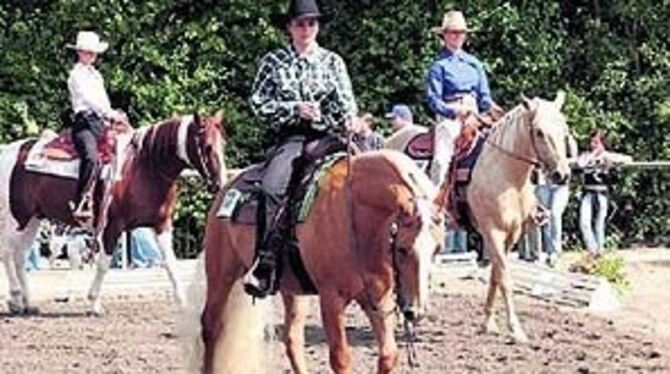 Volles Programm: 13 Prüfungen in verschiedenen Disziplinen stellten große Anforderungen an Ross und Reiter.
FOTO: ANSTÄDT