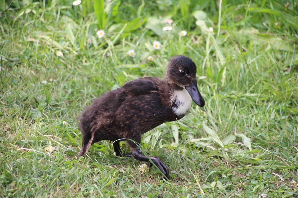 Ract! Festival Tübingen 2015