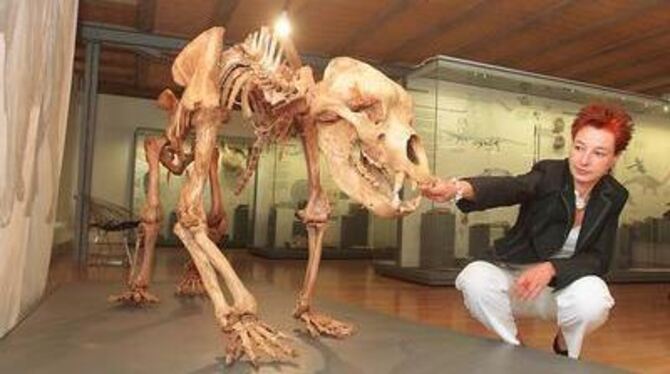 Museumsleiterin Dr. Barbara Karwatzki ist stolz auf den neuen Höhlenbären.  FOTO: TRINKHAUS