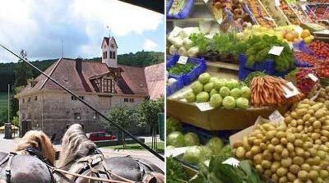 Der erste Schwäbische Alb-Tag verspricht Genüsse für alle Sinne. Von der Kutschfahrt bis zum Bauernmarkt. GEA-FOTOS