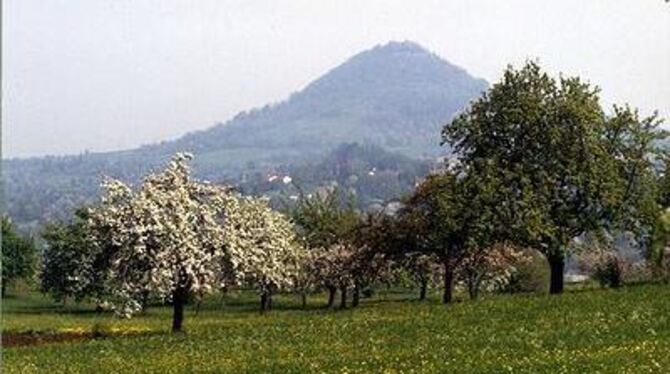 Mit Reutlingens Streuobstwiesen beschäftigt sich ein naturkundlicher Vortrag am morgigen Donnerstag. FOTO: PR