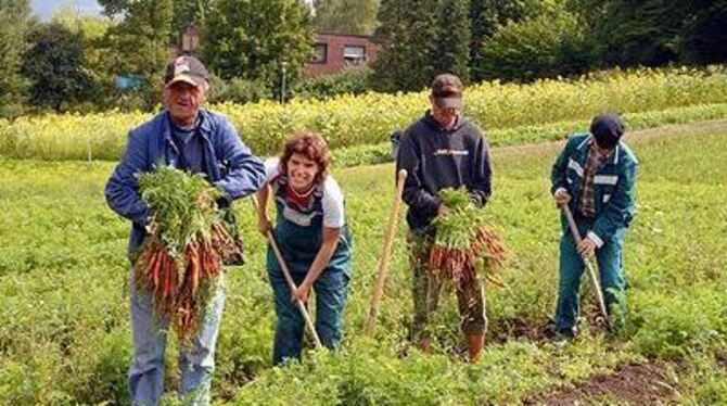 Stolz präsentieren die Mitarbeiter des Hofguts Gaisbühl die Früchte ihrer Arbeit - Möhren in Bioland-Qualität. GEA-FOTO: PACHER