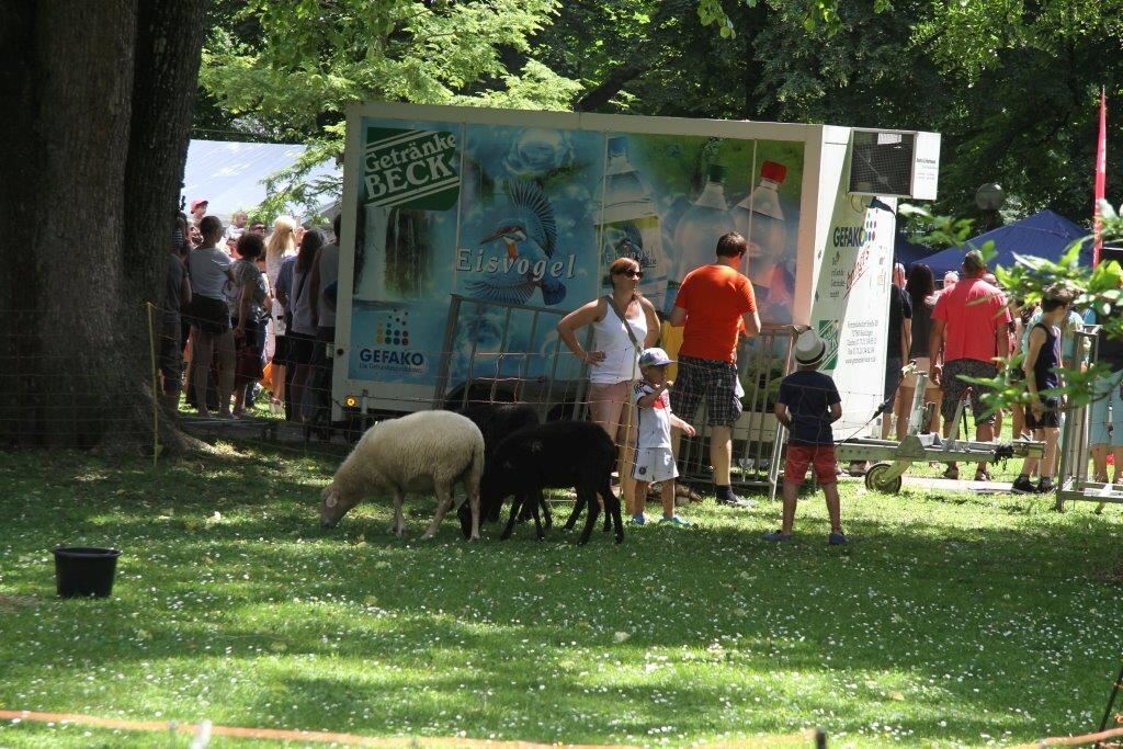 Die Stadt spielt Reutlingen Juni 2015