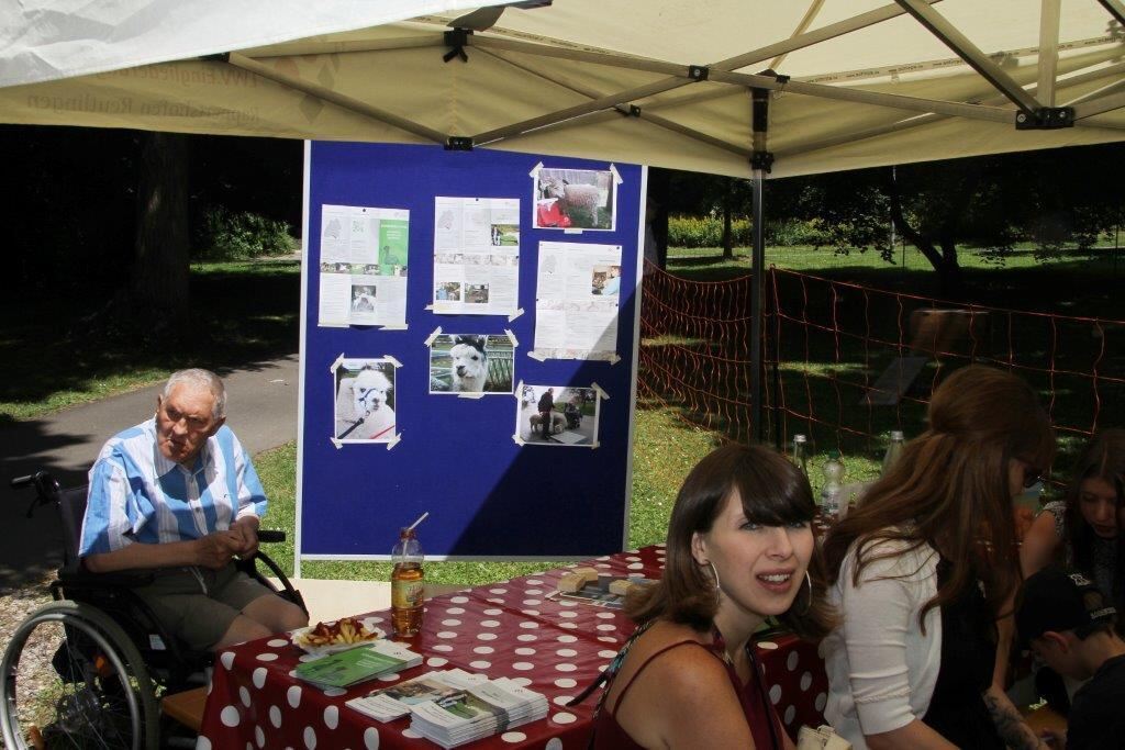 Die Stadt spielt Reutlingen Juni 2015