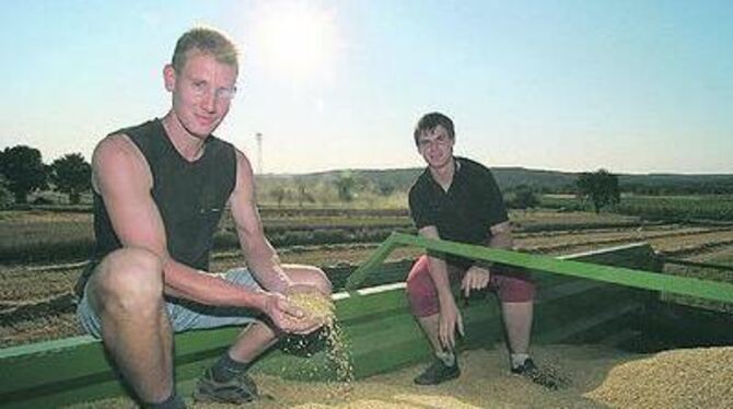 Getreideernte bei Kirchentellinsfurt. Michael Hoffmann (links) und Bastian Fritz helfen beim letzten K'Furter Vollerwerbs Landwi