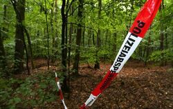 In diesem Waldstück bei Würzburg wurde der Sohn von Schrauben-Milliardär Reinhold Würth unversehrt gefunden. Foto: Karl-Josef