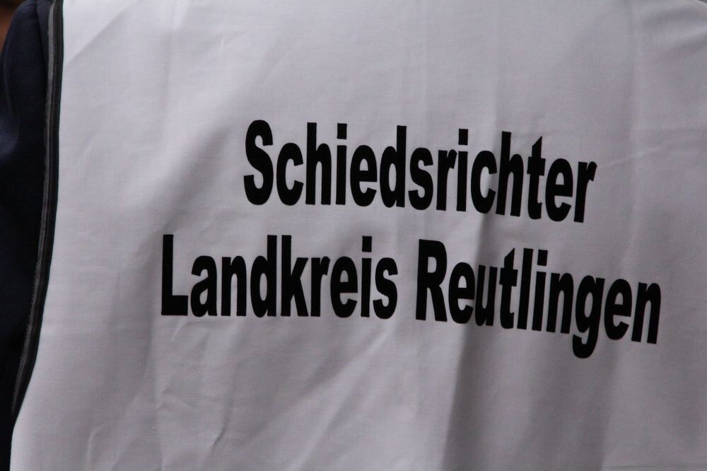 Abnahme Leistungsabzeichen Feuerwehr Münsingen 2015