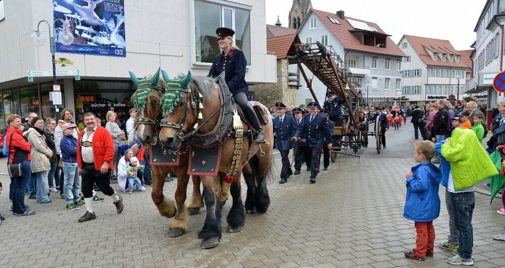 Kreisfeuerwehrtag Münsingen 2015