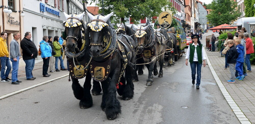 Kreisfeuerwehrtag Münsingen 2015