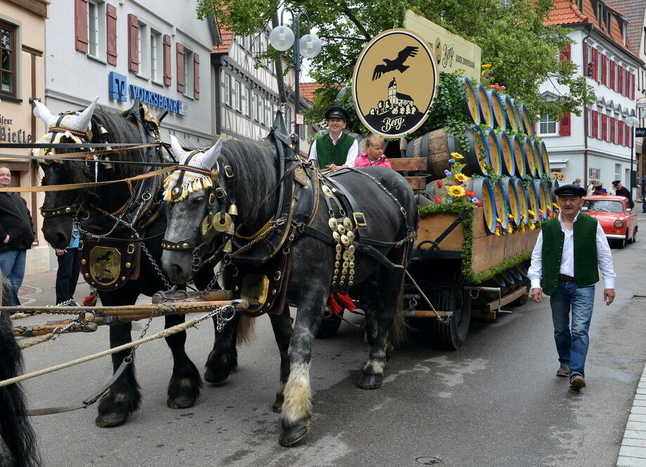 Kreisfeuerwehrtag Münsingen 2015