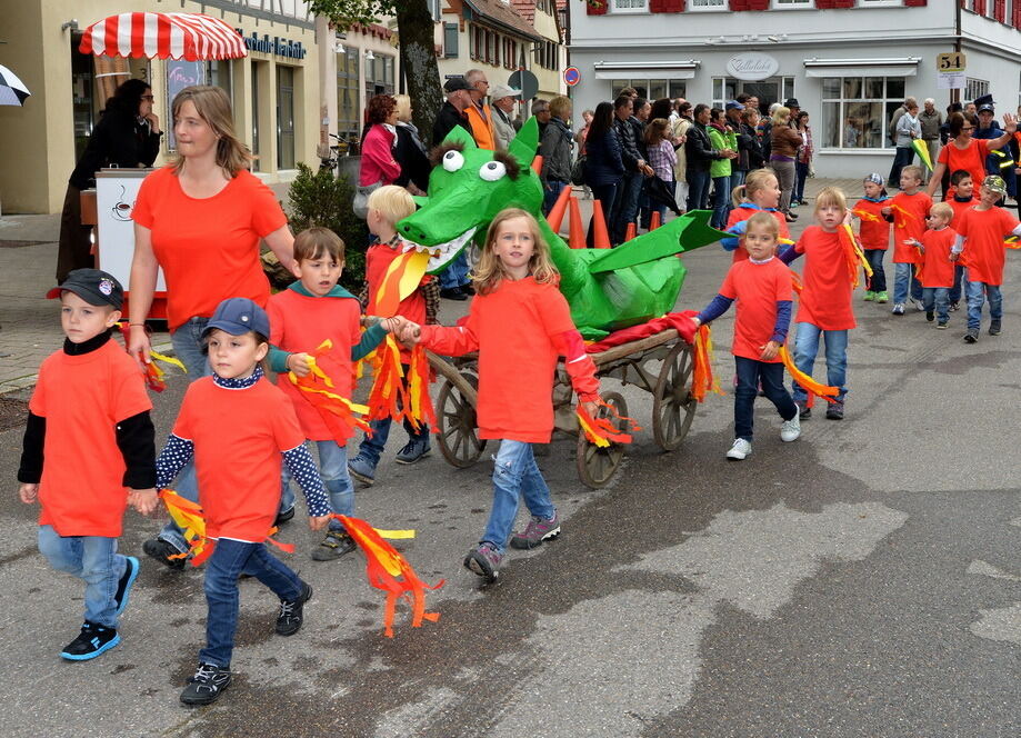 Kreisfeuerwehrtag Münsingen 2015
