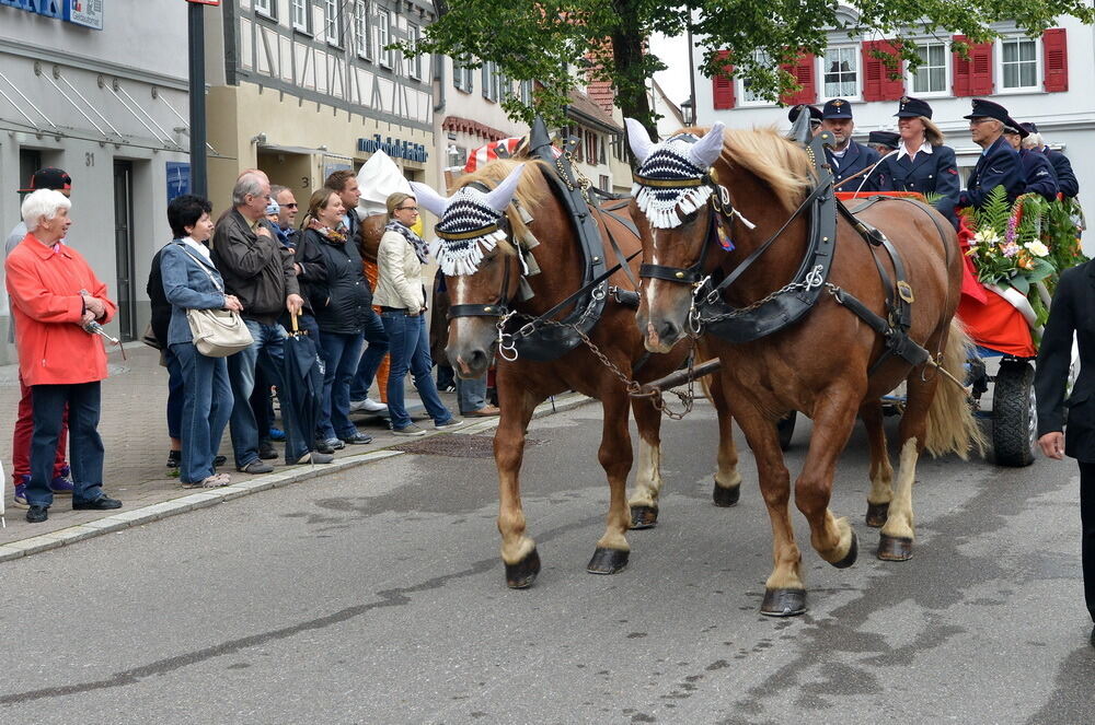Kreisfeuerwehrtag Münsingen 2015