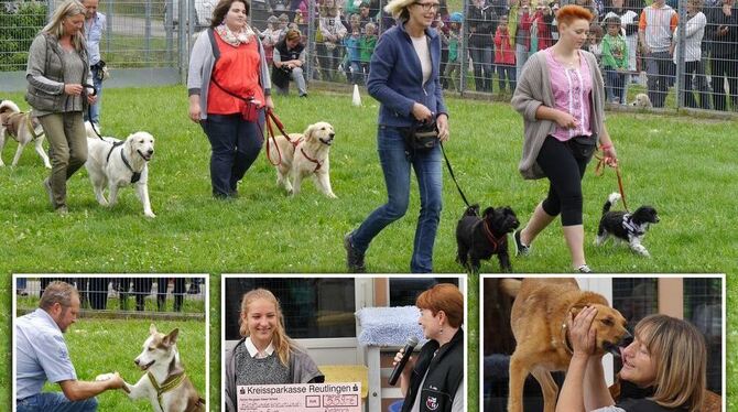 Fest-Aspekte: Beeindruckend gut erzogene Hunde bei der Vorführung der Hundeschule (oben und links unten), ein Spendenscheck von