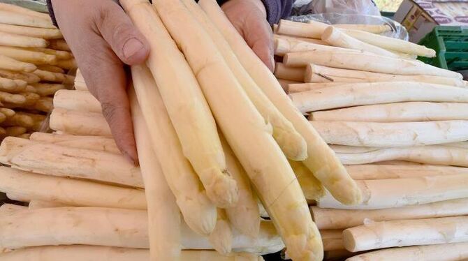 Foto: Holger Hollemann