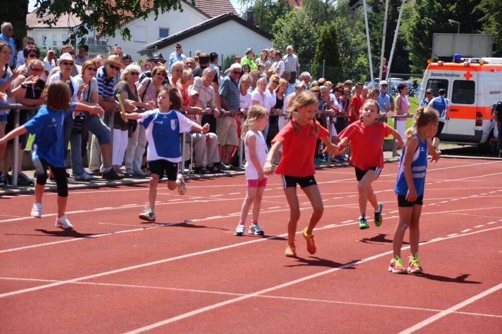 Lichtensteinlauf 2015. Fotos: Leippert.