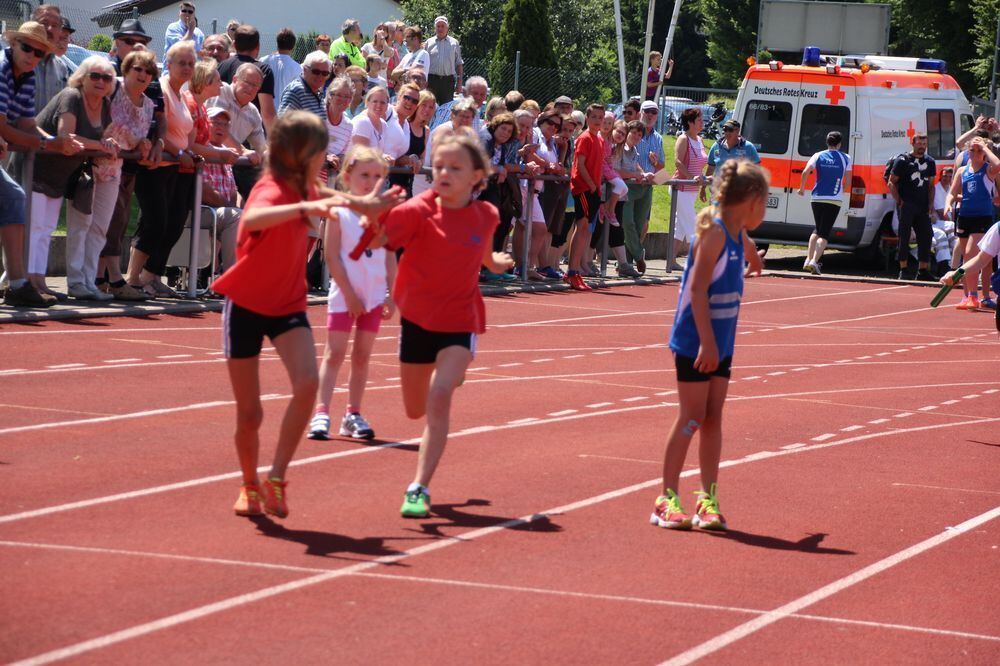 Lichtensteinlauf 2015. Fotos: Leippert.