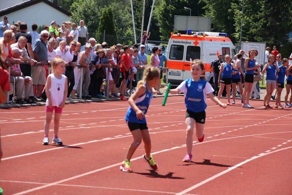 Lichtensteinlauf 2015. Fotos: Leippert.