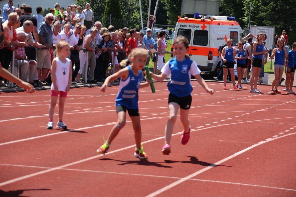 Lichtensteinlauf 2015. Fotos: Leippert.