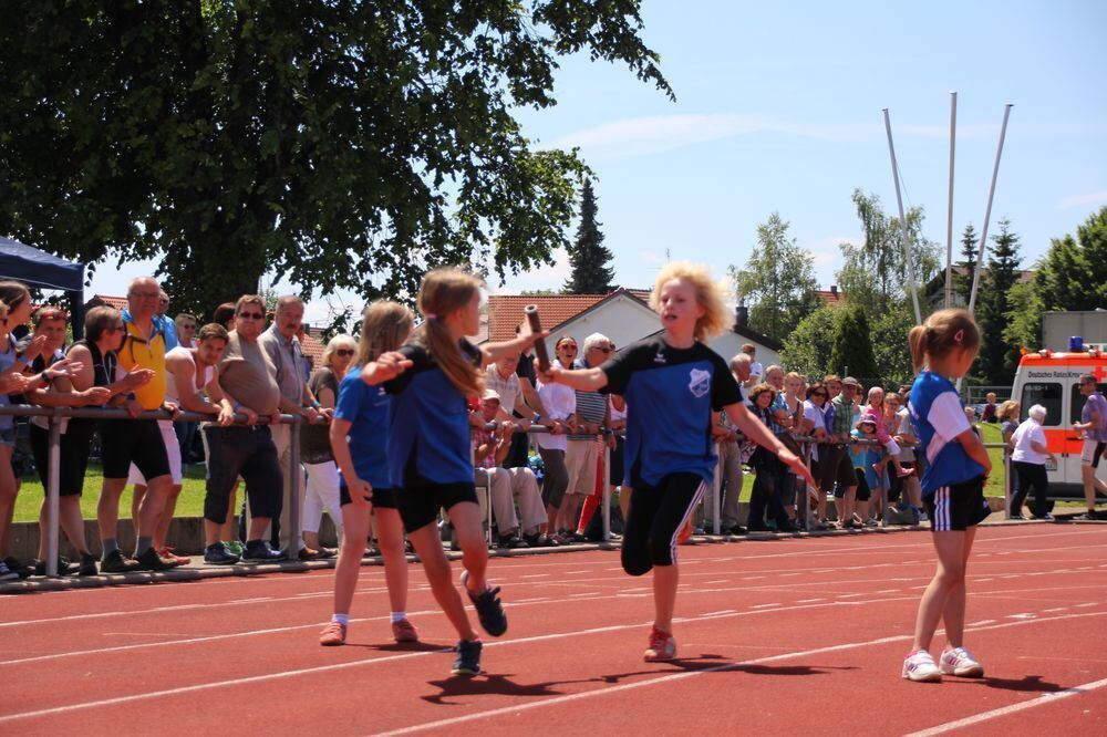 Lichtensteinlauf 2015. Fotos: Leippert.