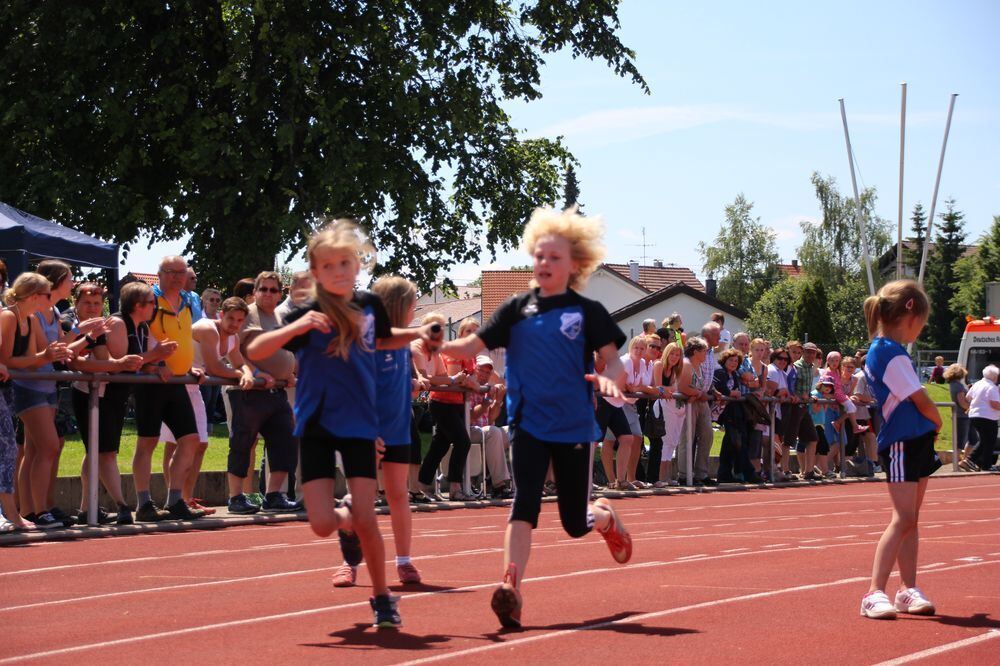 Lichtensteinlauf 2015. Fotos: Leippert.