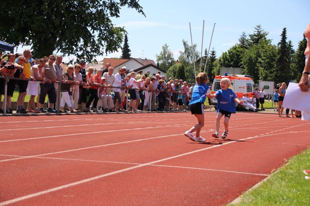 Lichtensteinlauf 2015. Fotos: Leippert.