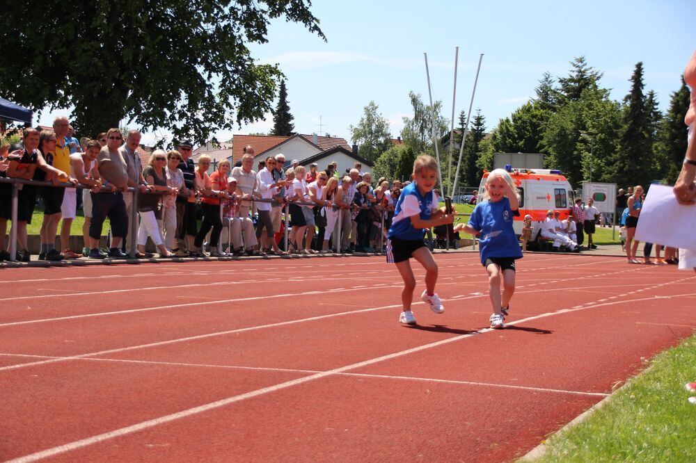 Lichtensteinlauf 2015. Fotos: Leippert.